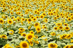 resize0121.jpg