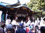 resize0257.jpg