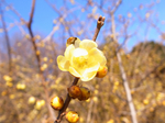 resize0265.jpg